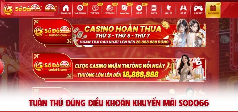 Chi Tiết Chương Trình Khuyến Mãi Hoàn Cược Tại Sodo66