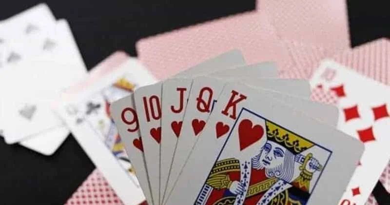 Bài câu cá là gì? Tại sao người mới nên thử?