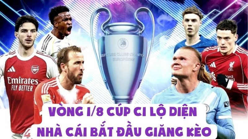 Vòng 1/8 Cúp C1 Lộ Diện | Nhà Cái Bắt Đầu Giăng Kèo