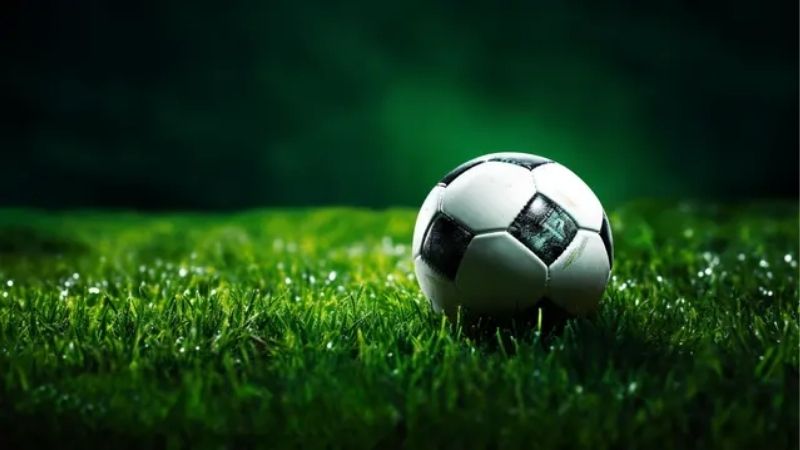 Bào Cỏ Trong Cá Cược | Lối Đi Riêng Cho Người Biết Tính