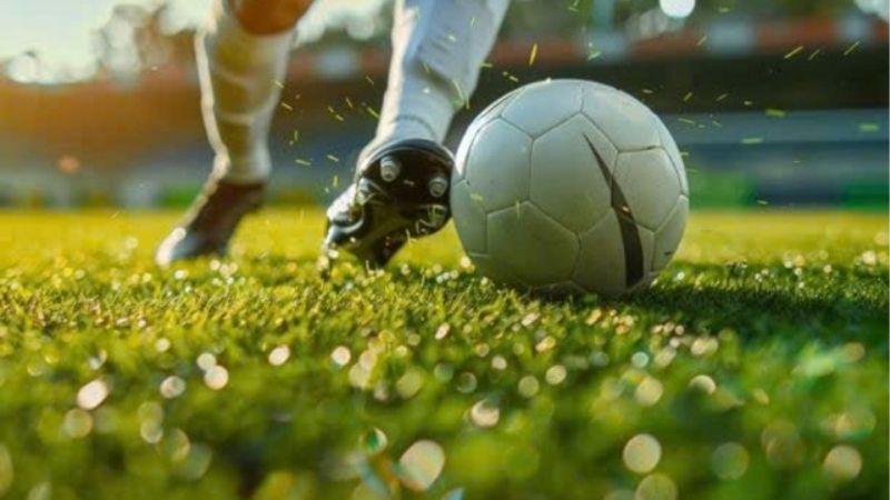 Bào Cỏ Trong Cá Cược | Lối Đi Riêng Cho Người Biết Tính