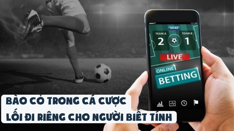 Bào Cỏ Trong Cá Cược | Lối Đi Riêng Cho Người Biết Tính